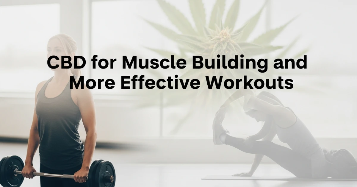 CBD für Muskelaufbau und effektivere Trainingseinheiten